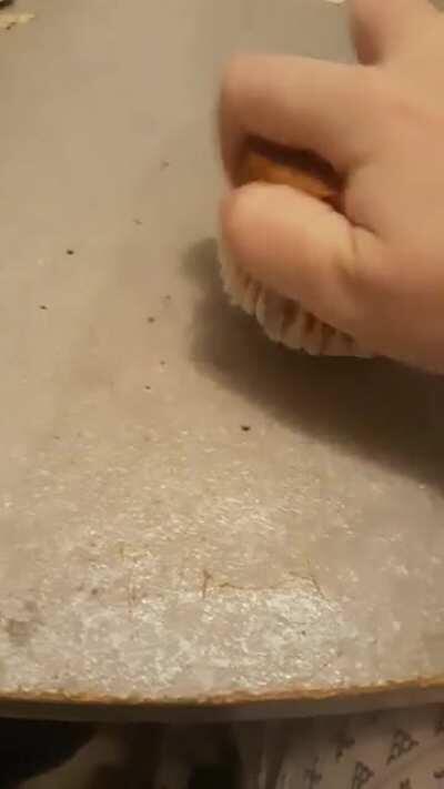 So my mom bought muffins