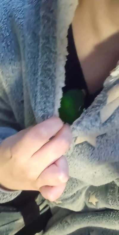 I've got a max while her owners are in Corfu - Angel's Flock