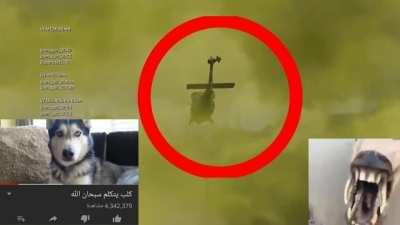 Suadi victory royale