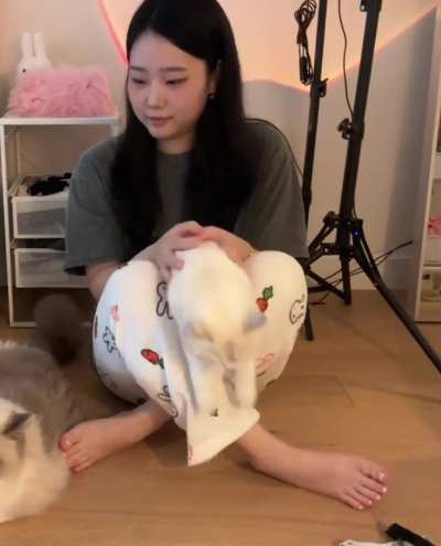 Jessica petting her cats - March 2025