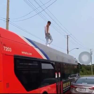 Loser casualy destroys someone car because why not