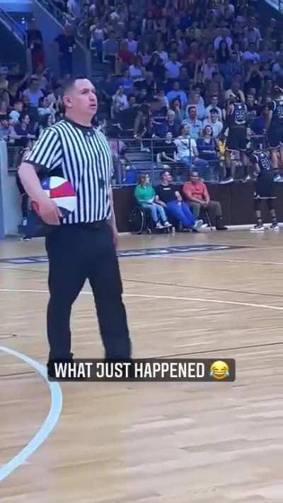 When the circle of life comes on, you find a baby.