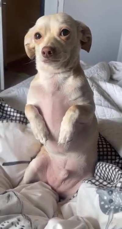 Frankie you can't come