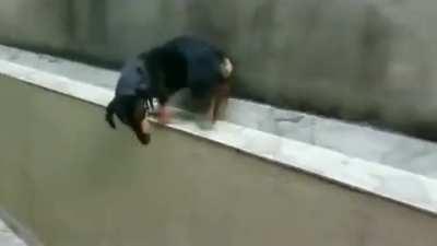 Dachshund when you need to reverse