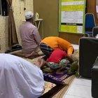 This is the cutest thing you will see today