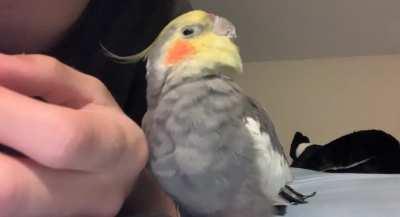 I filmed this today and thought it was adorable