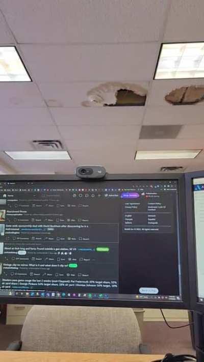 It's hard to concentrate on my work with the elephants above me.