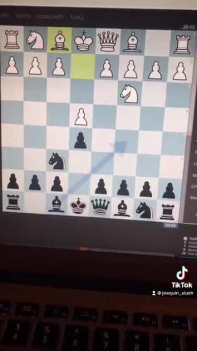 Gonna be mating this queen after she sees this 👀