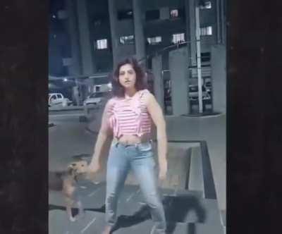 making tik-tok videos in front of stray dogs. ( listen to lyrics to)