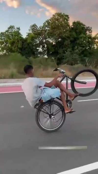 WCGW? Bike Wheelie with like-minded friends