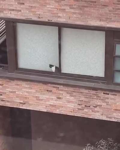 I always see her but she never looks my way. When will she see me?