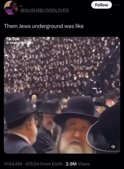 8 gold shekels like I'm Rabbi Ranks