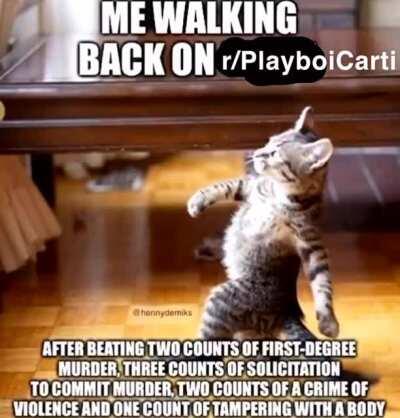 🤹🏾🤹🏾‍♀️🤹🏾‍♂️⛷⛷⛷‼️