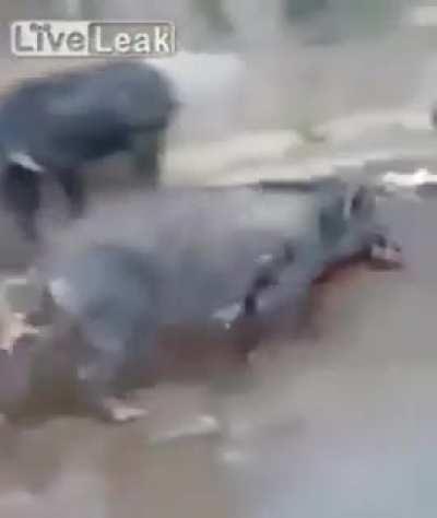 everyone has a purpose in their existence they say.