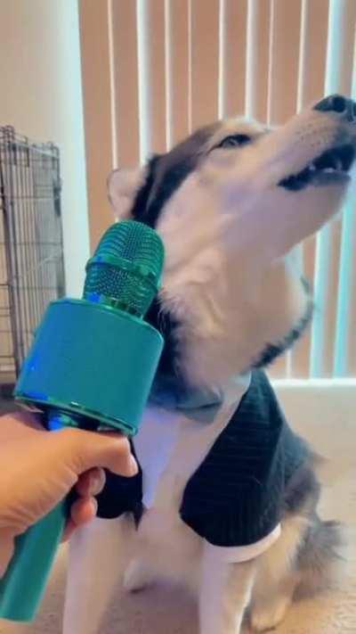 Husky on Autotune