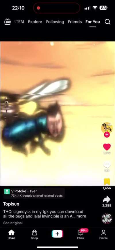 There are two sides to this fanbase