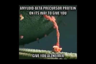 APP (Ass Pee Poop) 🥵