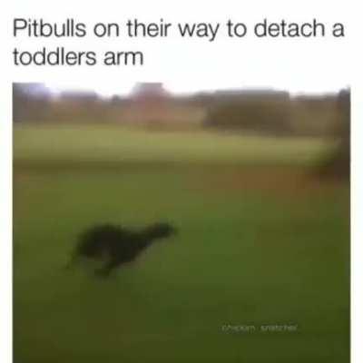 discordVideos - Video #0636