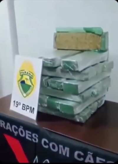 Madlad dog in Brazil proudly posing in front of his seized cocaine haul 
