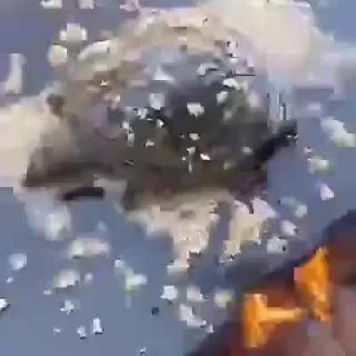 Tenian que ser chinos