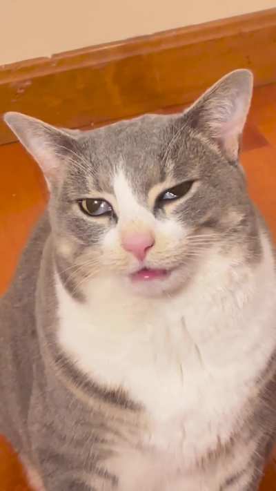 She got some teeth removed and felt those meds hard