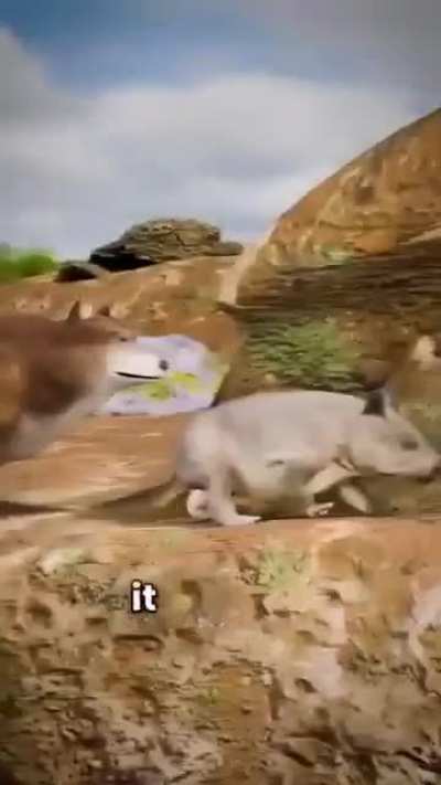 Wunkus defence mechanism 