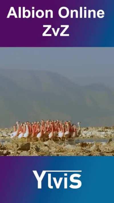 Idk who made this, but this is the best AO meme ever