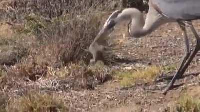 This has definitely happened in an episode before