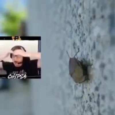 Apex players when they have to stop complaining and go outside