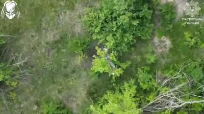 Unmanned systems battalion of "Predator" Brigade continues its systematic hunt for everything that crawls and wears a Russian uniform. Toretsk, Donetsk. 05.2025