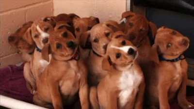 Ready ,..Set,..Cheese!