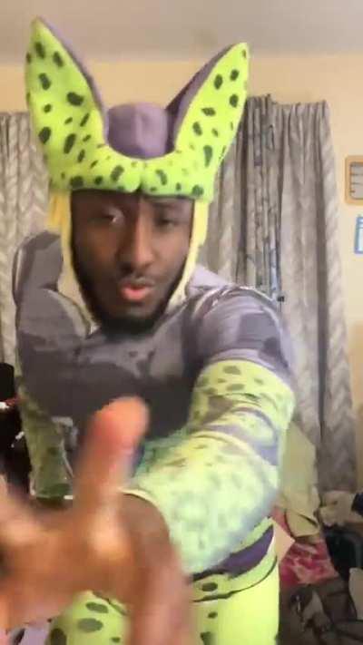 This IS Perfect Cell