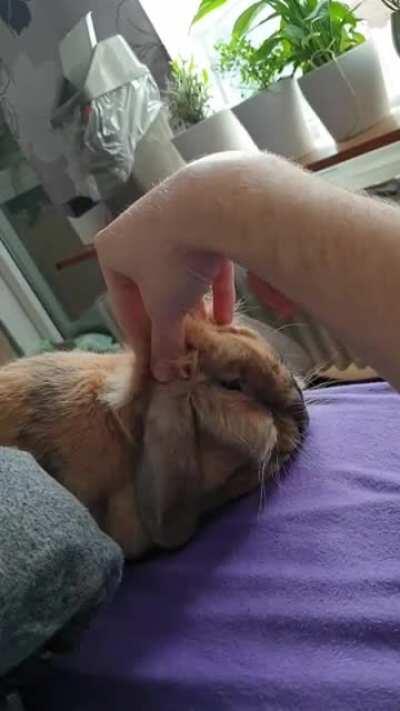 Take a moment to relax /w Fufu