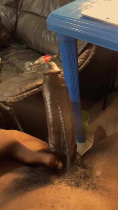 African bull from Ghana🇬🇭