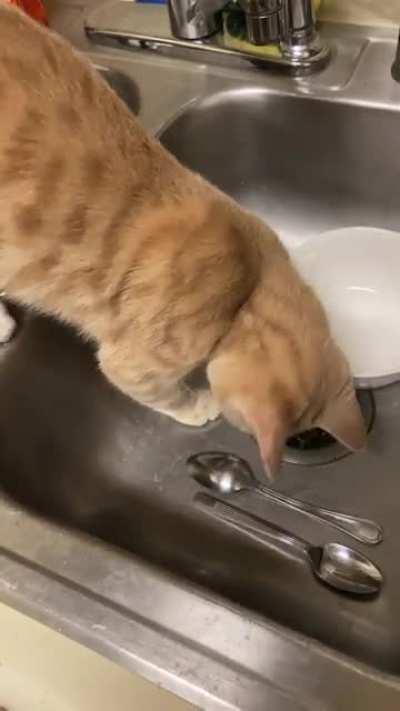 What woke me up at 4 am this morning.