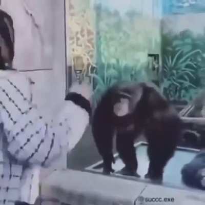 clap* clap* clap* clap*