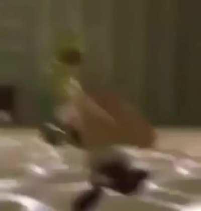 posting a Neco Arc meme every day: Day 8