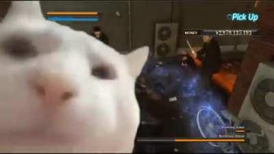 Cat vibes to La-Di-Da