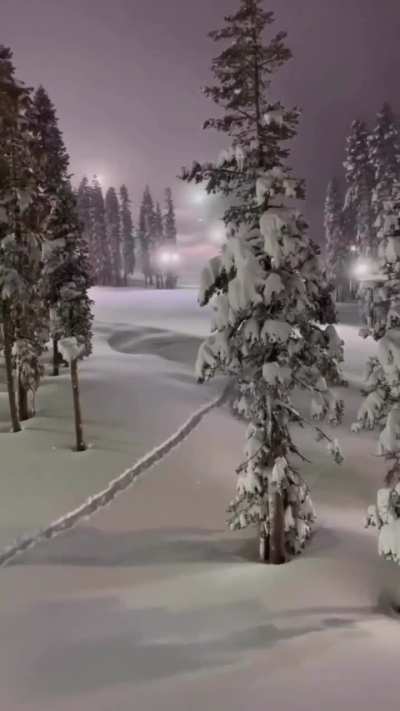 Beautiful ski slopes