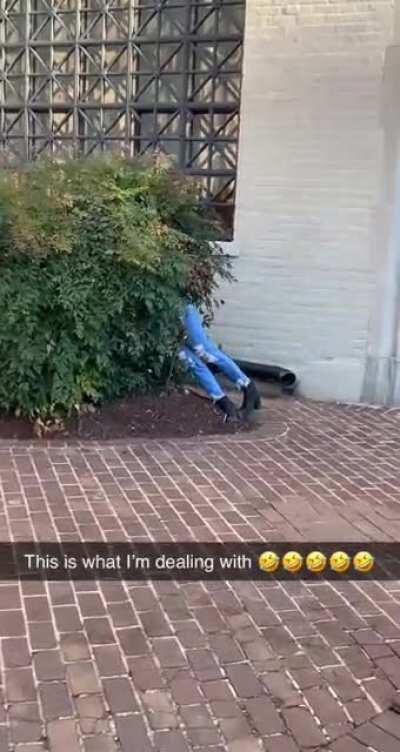 HMC while I have Sunday Brunch with the girls!!