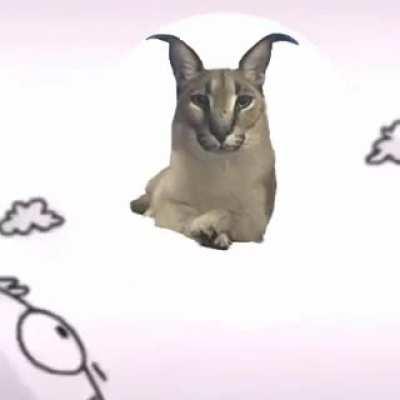 La grande floppe dans le ciel 🙏🙏🙏