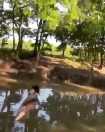 Застряла в текстурах