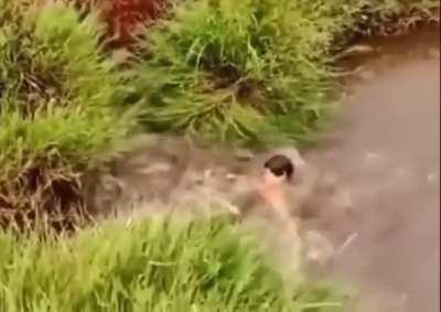 WCGW if I try and backflip into this pond…
