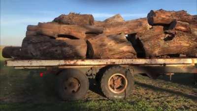 Old Toyota Car Turns Out to Be Heavy Hauler