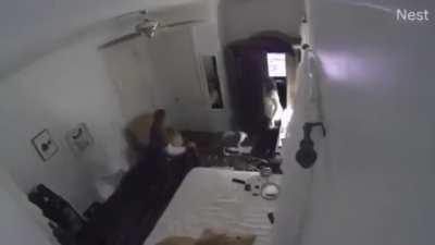 After years of trying to report him, a girl sets cameras to film her father violently beating her and her dog