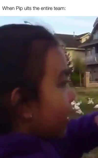 Look at all those chickens.