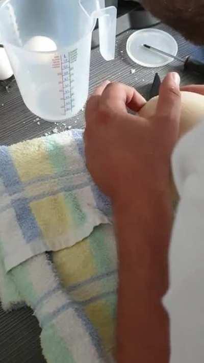 Ich hab (1) ein 28€ Ei gegessen