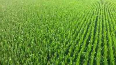 it was all going well until ofc....