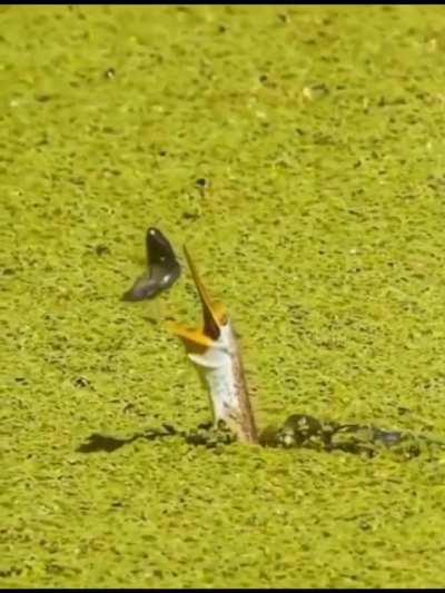 Trying to make the best of every opportunity!