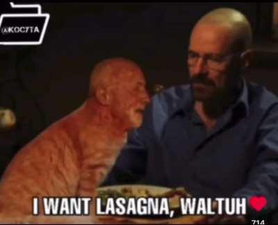 this is probably the best video of all time